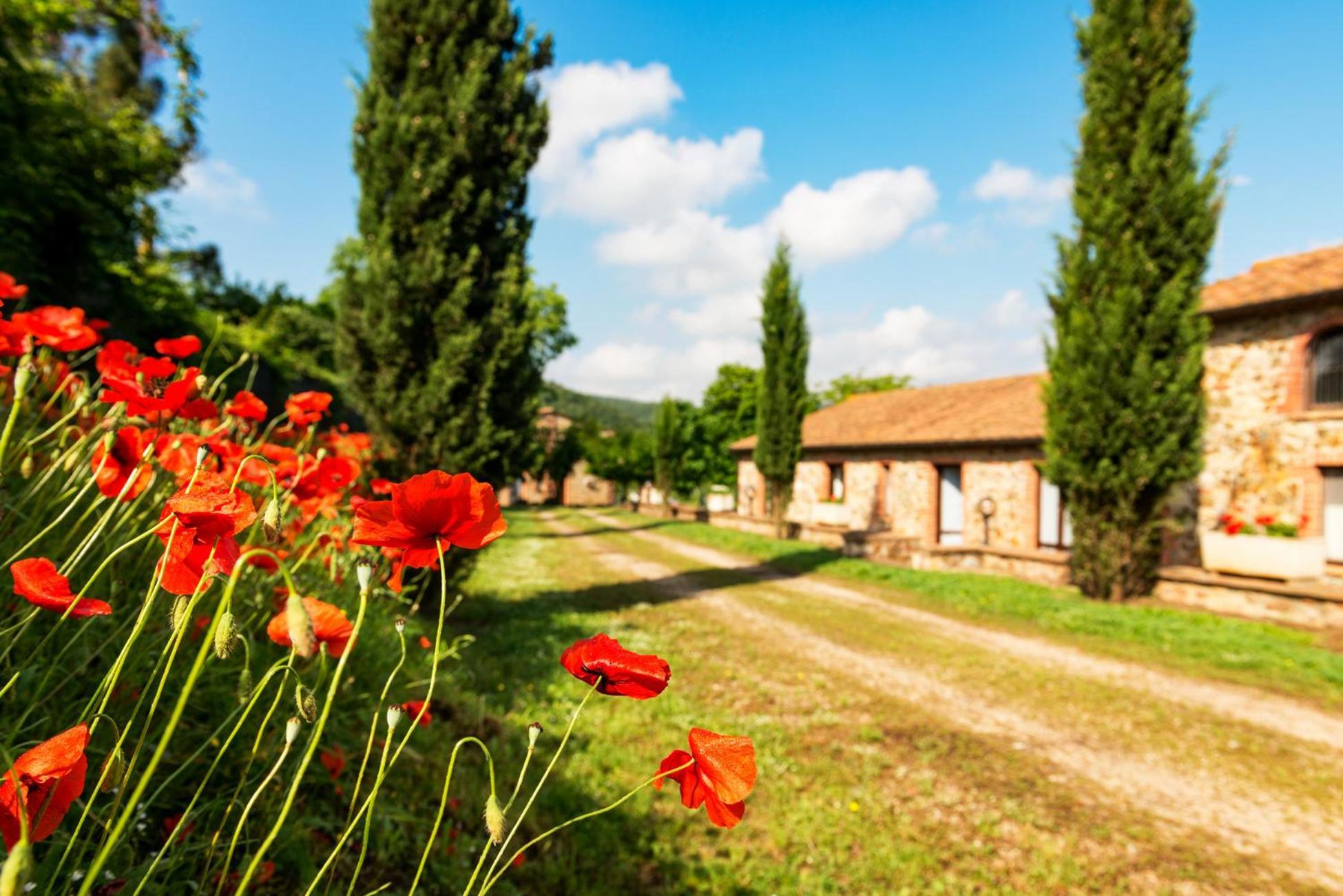 Podere Cascatelle&Agriletizia - Cascate Naturali Lägenhet Massa Marittima Exteriör bild